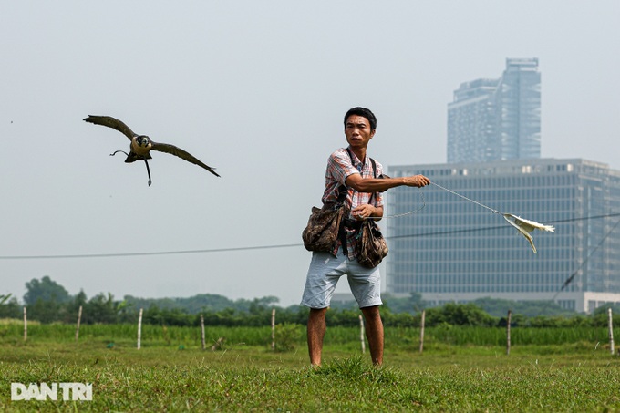 Dân chơi ở Hà Nội chi chục triệu nuôi loài chim trinh sát trên không-7
