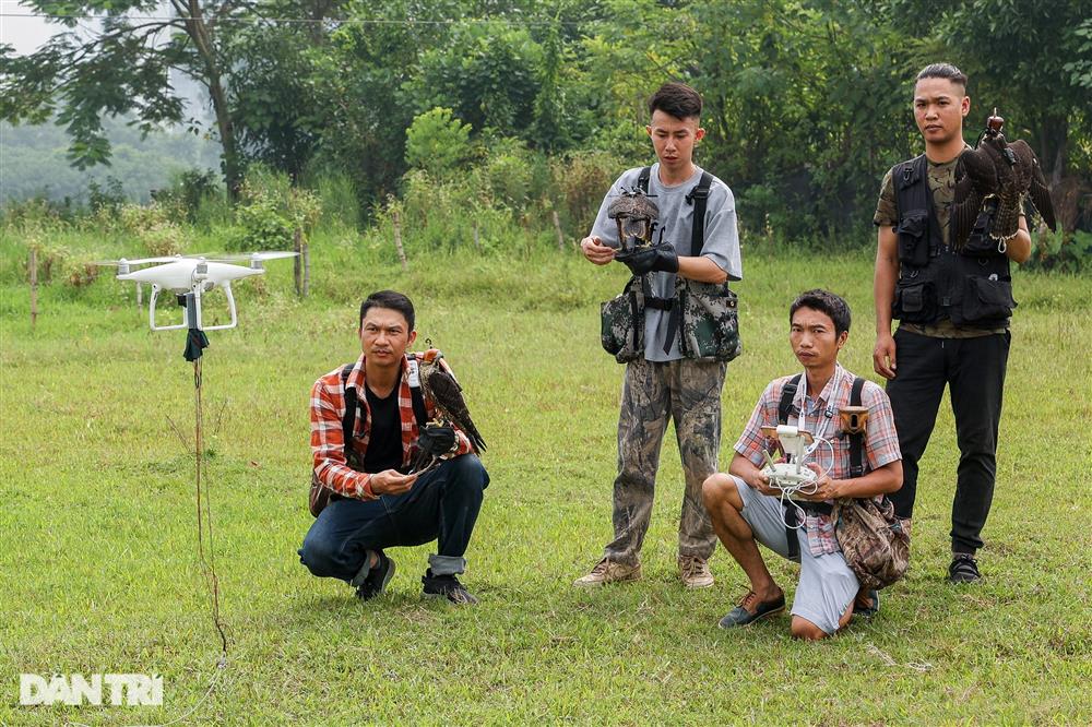 Dân chơi ở Hà Nội chi chục triệu nuôi loài chim trinh sát trên không-1
