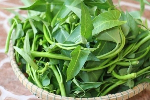 Được coi là loại quả ‘nhỏ mà có võ’, nhưng khi ăn kiwi cần tuyệt đối nhớ những điều đại kỵ này-4