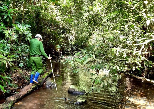 Lạnh người nghe kể về khu rừng nơi phát hiện 2 bộ xương người trên võng-1