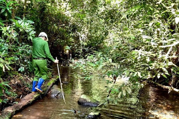 2 thi thể chỉ còn bộ xương khô trong rừng: Nhiều khả năng là cha con-3