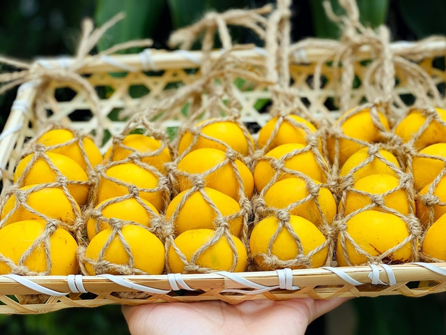 Những set quả Cô Tiên bắt mắt có giá đắt đỏ vẫn thu hút người mua-5
