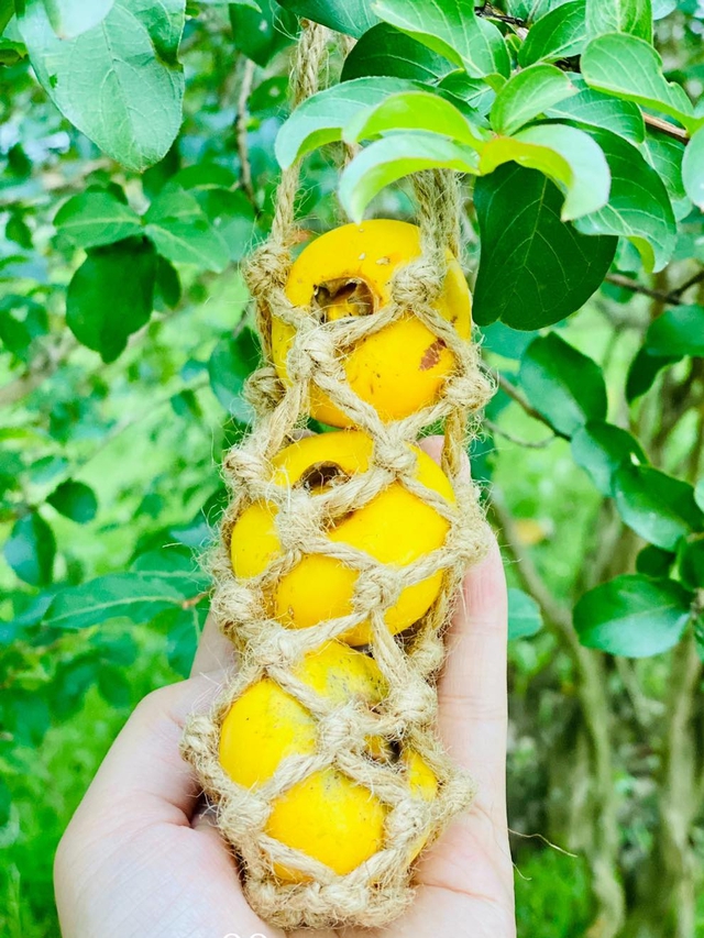 Những set quả Cô Tiên bắt mắt có giá đắt đỏ vẫn thu hút người mua-6