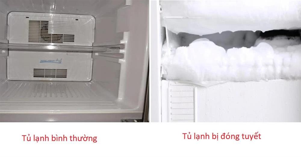 Thử cách để khẩu trang như thế này vào tủ lạnh sẽ giúp bạn tiết kiệm được khoản tiền điện không hề nhỏ-1