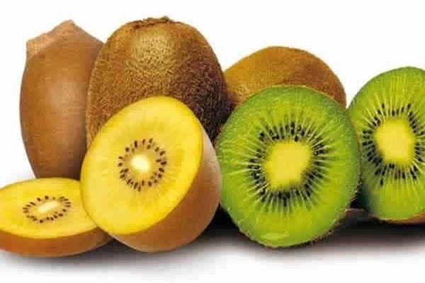 Được coi là loại quả ‘nhỏ mà có võ’, nhưng khi ăn kiwi cần tuyệt đối nhớ những điều đại kỵ này-3