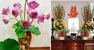 Mùng 1 âm lịch: Đặt loại hoa này lên bàn thờ để phúc lộc dồi dào, cả tháng may mắn tiền vào như nước-1