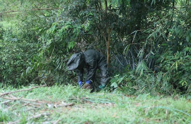 Liều ‘chơi’ ong vò vẽ, bỏ túi hàng chục triệu đồng-6