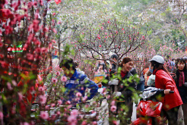 Xác minh nhóm người đánh nữ chủ nhà ở Đắk Lắk ngất xỉu-5