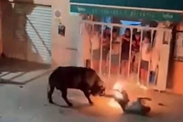 Người đàn ông bị húc tới chết trong lễ hội đốt bò ở Tây Ban Nha-1