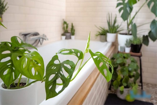 Cô gái ở Hà Nội cải tạo phòng thuê 80m² xuống cấp theo phong cách châu Âu cuốn hút-19