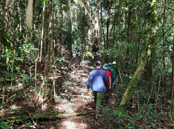 Giây phút ám ảnh của những người phát hiện 2 bộ xương giữa rừng-1