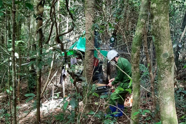 Giây phút ám ảnh của những người phát hiện 2 bộ xương giữa rừng-2