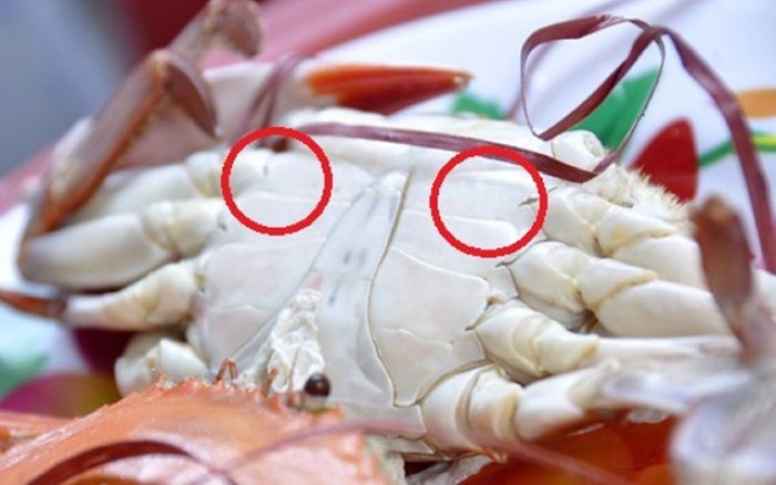 Khi mua ghẹ, nên chọn ghẹ to hay nhỏ? Nhìn điểm này, biết ngay ghẹ nhiều thịt, ngọt ngon-5