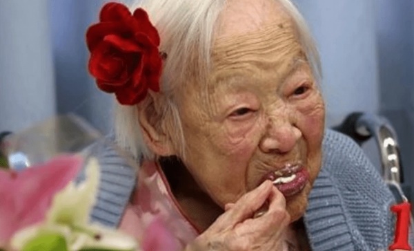 Củ trường sinh mà người Nhật ăn thường xuyên, người Việt đang dần lãng quên-1