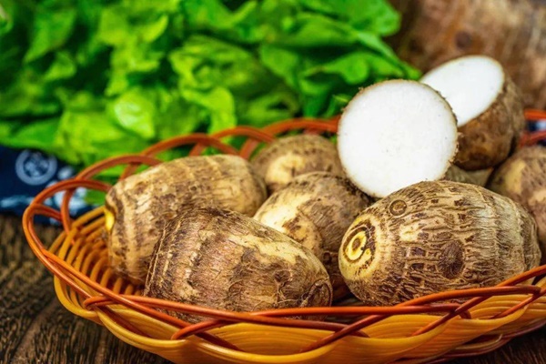 Củ trường sinh mà người Nhật ăn thường xuyên, người Việt đang dần lãng quên-4