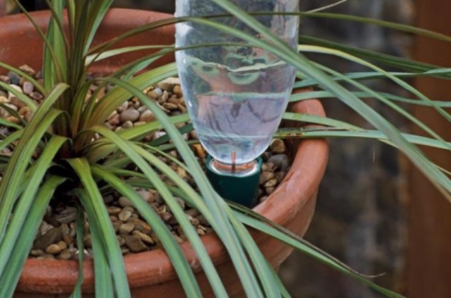 Cắt chai nhựa thành nhiều vòng tròn, cất trong phòng tắm có công dụng siêu mạnh, gia đình nào cũng cần dùng tới-13