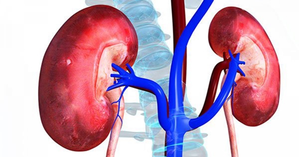 Gặp dấu hiệu này chứng tỏ thận của bạn đang có vấn đề-2