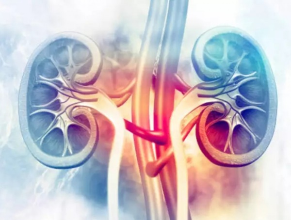 Gặp dấu hiệu này chứng tỏ thận của bạn đang có vấn đề-3