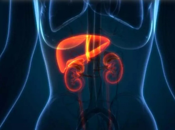 Gặp dấu hiệu này chứng tỏ thận của bạn đang có vấn đề-5