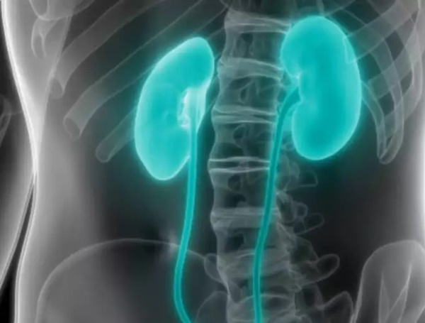 Gặp dấu hiệu này chứng tỏ thận của bạn đang có vấn đề-6