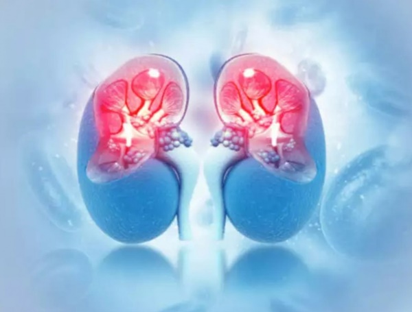 Gặp dấu hiệu này chứng tỏ thận của bạn đang có vấn đề-8