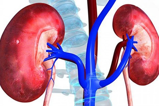 Gặp dấu hiệu này chứng tỏ thận của bạn đang có vấn đề