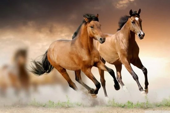 Tổ tiền phù trợ: 4 tuổi được bề trên che chở làm đâu trúng đó, tiền bạc chảy về túi trong cuối năm 2022