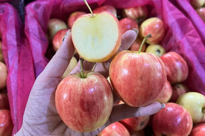 Táo tí hon vừa chua vừa chát, giá siêu rẻ chị em vẫn ồ ạt mua-1