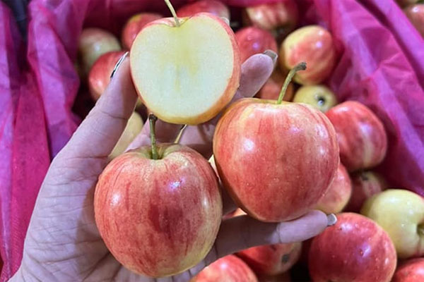 Táo đá Trung Quốc giá siêu rẻ ‘làm mưa làm gió’ tại chợ-4