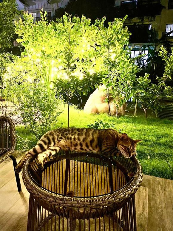 Giữa ồn ào của diễn viên Phương Oanh, vợ đại gia kim cương phán một câu cực chất, được chị em đồng tình-3