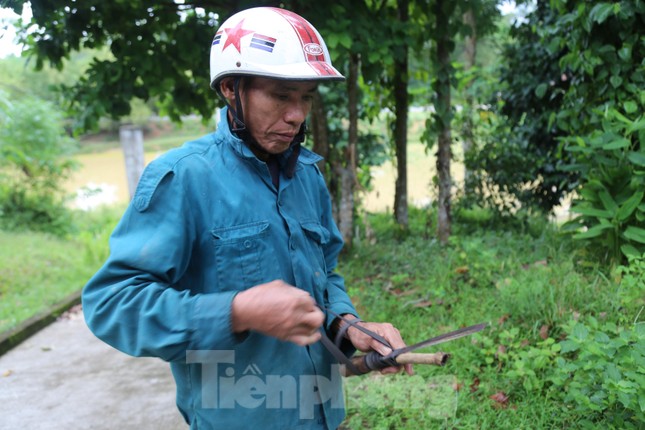 Đổ xô đi hái thuê đặc sản trám đen, bỏ túi tiền triệu mỗi ngày-3