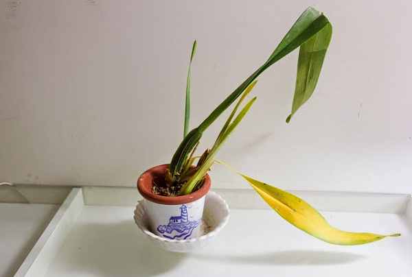 Trong nhà có 4 hiện tượng này cẩn thận vận đen, ảnh hưởng tài lộc và sức khỏe-2