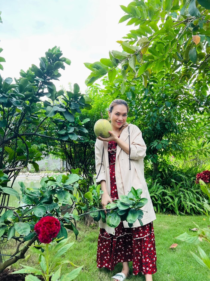 Mai Tài Phến vừa thông báo đã sẵn sàng, Mỹ Tâm lại bị nghi mang bầu-1