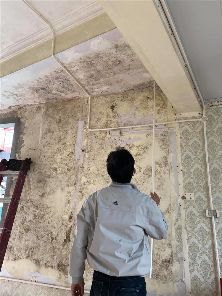 Cô gái ở Hà Nội cải tạo phòng thuê 80m² xuống cấp theo phong cách châu Âu cuốn hút-7