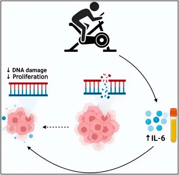 Tập thể dục 30 phút mỗi ngày làm tăng thành phần chống ung thư trong máu nhưng cần tránh 2 sai lầm-1