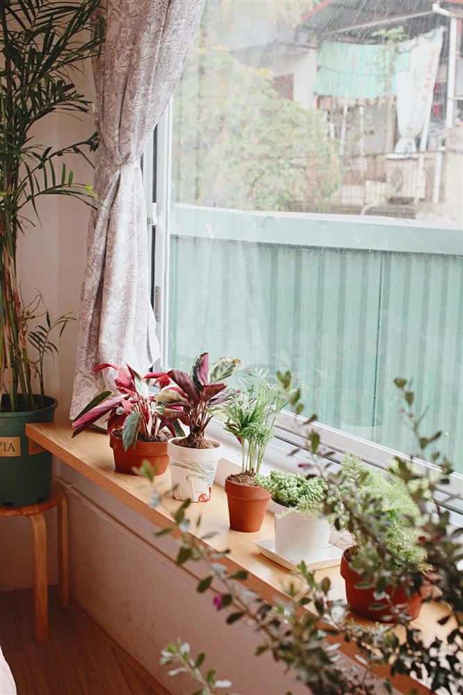 Cô gái ở Hà Nội cải tạo phòng thuê 80m² xuống cấp theo phong cách châu Âu cuốn hút-15