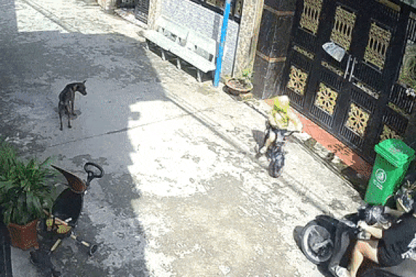 Gây tai nạn khiến bé trai ngã đau đớn, người phụ nữ vẫn thản nhiên bỏ đi như chưa có gì xảy ra