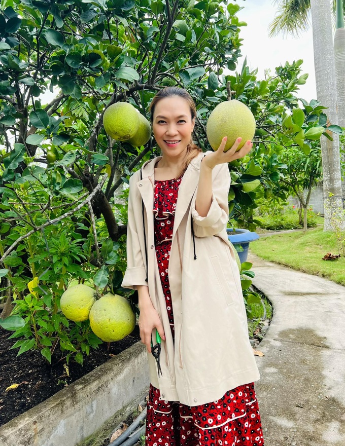 Mỹ Tâm phản hồi tin đồn mang bầu-3