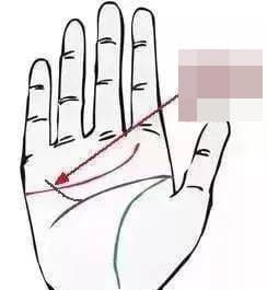 Với đường chỉ tay phát tài phát lộc này, bạn sẽ có số mệnh giàu sang, quyền quý cả đời-4