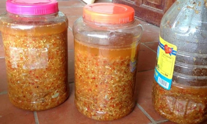 Tưới vài giọt này lên cây, sâu bọ nào cũng không dám tới cắn hoa-1