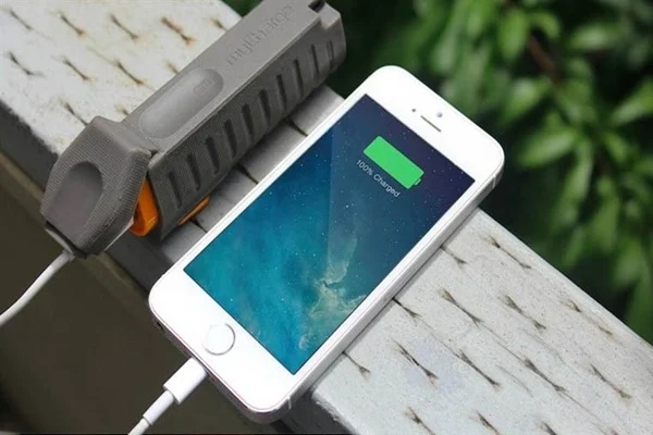 Hôm nay mình mới biết có ba loại cà rốt không mua được cũng không nên ăn, nhiều người chưa để ý-4