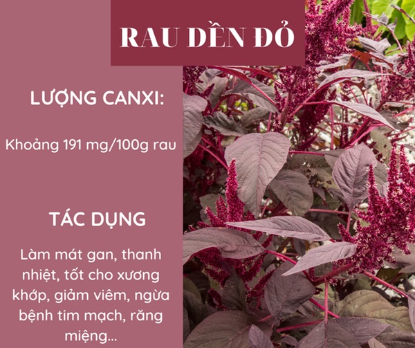 5 loại rau giàu canxi hơn sữa, bổ sung hàng ngày để phòng ngừa loãng xương-2