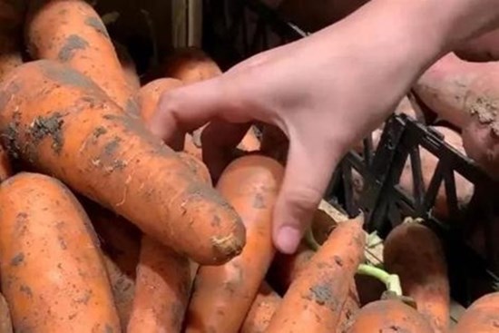 Hôm nay mình mới biết có ba loại cà rốt không mua được cũng không nên ăn, nhiều người chưa để ý