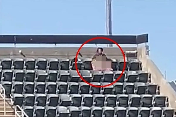 Ân ái trên khán đài xem bóng chày, cặp đôi đối diện nguy cơ ngồi tù-1