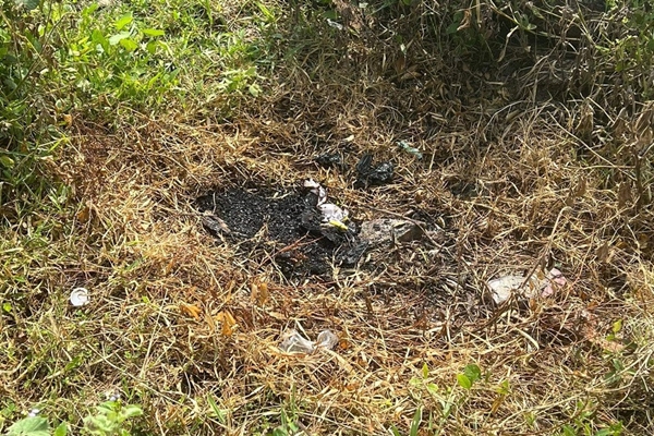 Tình tiết mới về thi thể trẻ sơ sinh bị đốt cháy ở Bình Dương-2