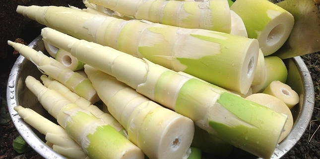 Điểm mặt các thực phẩm chứa chất cực độc, là ‘sát thủ’ thầm lặng trong nhà bếp ít ai chú ý-2