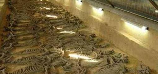 Hầm mộ nghìn năm tuổi được đào lên ở Giang Tây, 46 cô gái bị chôn vùi trần như nhộng khiến giới chuyên môn khiếp sợ một thời-6