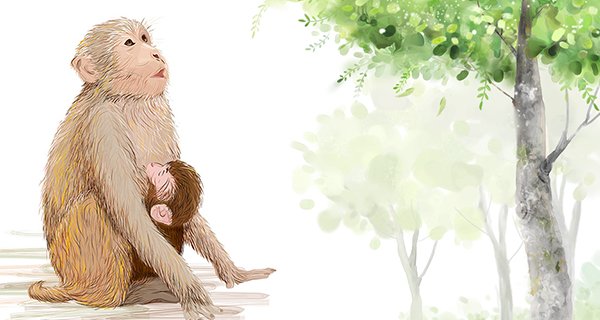 3 tuổi có tài có đức được Thần Phật chở che, tháng 9 kiếm bộn tiền, tháng 10 thành tỷ phú-4