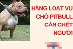 Hai đứa trẻ ở Mỹ bị chó pitbull của gia đình tấn công đến chết-4