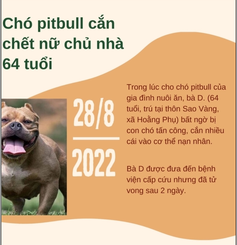 Hàng loạt vụ chó pitbull tấn công, cắn chết người kinh hoàng-2